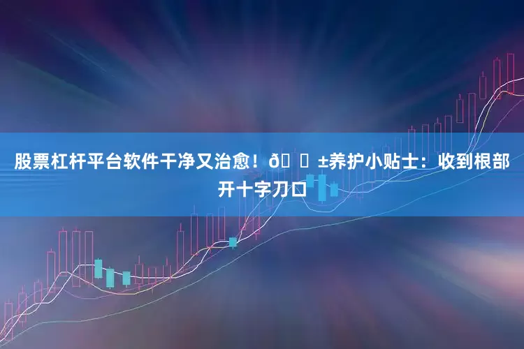 股票杠杆平台软件干净又治愈！🌱养护小贴士：收到根部开十字刀口
