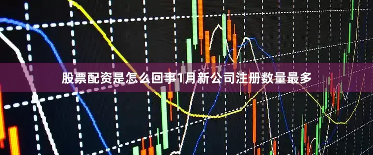 股票配资是怎么回事1月新公司注册数量最多